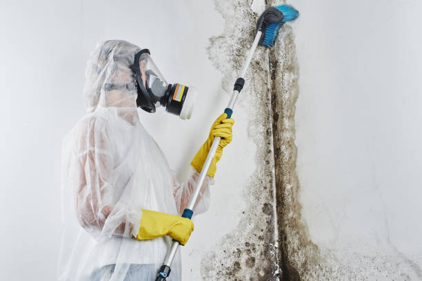 Best Mold Remediation for Healthcare Facilities  in Ahwahnee, CA