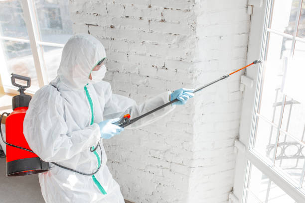 Best Environmental Consulting for Mold Prevention  in Ahwahnee, CA