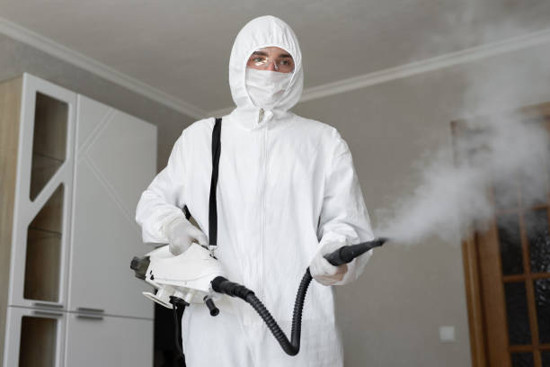 Why You Should Choose Our Mold Remediation Services in Ahwahnee, CA